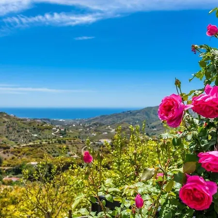 Holiday home Cortijo Naranjos By Ruralidays Frigiliana